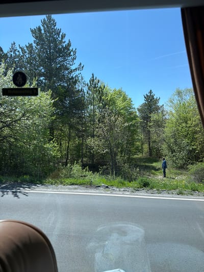 The image shows a view from a vehicle, possibly a bus, traveling along a road adjacent to a tree-lined area. A person is walking near the edge of the vegetation alongside the road. The sky is clear and blue. The word "Notausstieg" is visible on a sticker on the vehicle's window, indicating that it may be a bus. The location is near Prilep, Bulgaria.