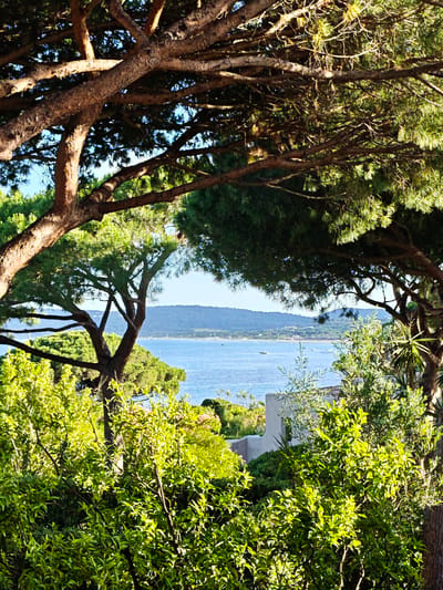 The image depicts a scenic view of the Mediterranean Sea as seen from a location in Ramatuelle, France. In the foreground, the branches of mature pine trees frame the view, with their rough, textured bark and needle-like foliage. Sunlight filters through the canopy, casting dappled shadows.
Beyond the trees, a body of water, likely the Mediterranean, stretches towards a distant, hazy coastline characterized by rolling hills. Several small boats are scattered across the water, suggesting recreational activity. The water itself is a deep blue, with lighter shades indicating reflections or shallower areas.
In the middle ground, lush green vegetation, including various shrubs and possibly some palm trees, creates a vibrant tapestry of foliage. A portion of a light-colored building with concrete walls and terraces is visible, hinting at a residential or resort setting. The overall environment suggests a warm, sunny day with clear skies. The image captures a tranquil coastal landscape with a distinct Mediterranean ambiance.