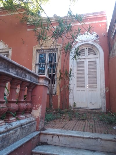 The image captures a weathered building in San Lorenzo, Paraguay. The building's exterior is a faded reddish-orange color, with decorative white trim around the windows and arched doorway. The arched double door is white with horizontal slats. A small, spindly palm tree grows in front of the window and door, amidst ground cover. A stone balustrade and steps, also showing signs of age and decay, are in the foreground. The scene suggests neglect and disuse.
