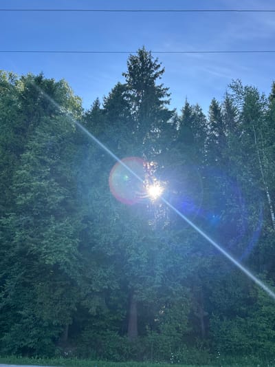 The image displays a dense forest with tall evergreen trees and some deciduous trees, silhouetted against a clear blue sky. Sunlight streams through the trees, creating a lens flare effect with a bright, circular glow and a diagonal streak of light. In the upper portion of the image, two parallel wires are visible against the sky, suggesting the presence of power lines or a similar overhead infrastructure. The ground in the foreground is covered with green vegetation and small white flowers. There are no people or animals visible in the scene. The location is identified as Слава Снт, Russia, but no specific landmarks within the city are depicted.