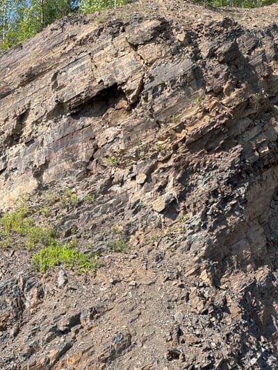 The image depicts a steep, rocky hillside in Skovorodino, Russia, likely a quarry or natural outcrop. The rock face is heavily layered and fractured, with varying shades of brown, gray, and black. Sparse green vegetation, including small bushes and grass, grows in patches along the slope and at its base. The sky is visible at the top of the image, suggesting an outdoor, daytime scene. There are no people or animals present in the image. The focus is solely on the geological features of the rock formation and the surrounding natural environment.