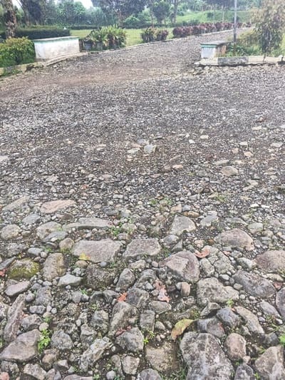 The scene depicts an outdoor environment in Kon Ra Kiah, Vietnam, under overcast conditions. The foreground and midground are dominated by a sloping, unpaved path or road composed of irregularly shaped grey and dark-colored rocks and gravel, interspersed with sparse green vegetation and dry leaves. The path ascends slightly and curves gently to the right. In the midground, on the left side of the path, a rectangular, light-colored concrete or stone planter box or bench with a green coping is visible. A similar structure, partially obscured by green foliage, is situated on the right side of the path. The background features lush green trees, hedges, and a grassy slope. Rows of potted plants and smaller plants with reddish foliage line the path in the midground. No individuals or active subjects are present.