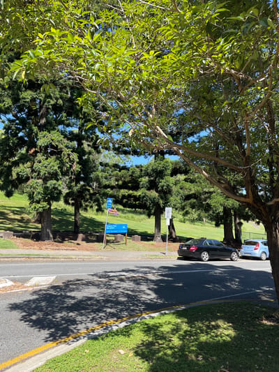 This media file captures a bright daytime scene in Kelvin Grove, Australia, depicting a park or green space alongside a paved road.
**Subjects:** The primary subjects are the natural environment, including numerous lush green trees and expansive grassy areas. There are no people visible in the image. Two cars are parked on the side of the road: a black sedan and a silver hatchback further down.
**Setting:** The setting is an outdoor area, likely a park or a landscaped public space, adjacent to a road. Tall, broad-leafed trees frame the foreground on the left, while denser, conifer-like trees line a grassy verge further back.
**Activity or event taking place:** No specific activity or event is occurring. The scene is static, showing parked cars and the natural landscape.
**Notable details:** The time of day is clearly daytime, evidenced by the bright sunlight and distinct shadows cast by the trees on the road and grassy areas. The sky, visible through the foliage, appears clear and blue. The paved road features a solid white line and a yellow line marking its edge. Several signs are visible:
* A blue sign clearly reads "Bunya Park" with "P10 6am - 6pm" underneath, indicating parking regulations for the park.
* Another blue sign displays a white wheelchair symbol, suggesting accessible parking, with text below that appears to say "Permit Holders Only".
* Further along the grassy verge, a white sign with a pedestrian symbol is visible, likely indicating a walking path or pedestrian area.
No emotions are explicitly conveyed by the scene, which presents a calm, everyday outdoor environment.