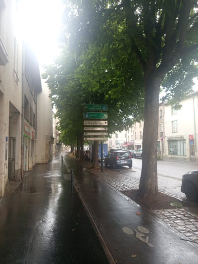 This is a ground-level, portrait-oriented photograph taken on a street in Nancy, France. The image is oriented vertically, with the top of the frame appearing on the left. The scene depicts a tree with a thick trunk that grows diagonally across the frame, its branches and green leaves dominating the upper left portion of the image.
In the foreground, a wet asphalt road reflects the surrounding buildings and sky, indicating it has recently rained or is still raining. A bicycle lane is marked on the road with a white pictogram. Several cars are parked along the sidewalk.
Several directional road signs are visible, mounted on a pole near the tree. These signs indicate directions to various towns and locations including "METZ," "MAXEVILLE," "CHAMPIGNEULLES," and "LAXOU." One sign also points towards "Quartier Gare" (Gare Quarter).
The buildings lining the street are typical European architecture, with light-colored facades and multiple stories. One building prominently features a sign for "CAISSE D'EPARGNE," which is a French savings bank. The overall atmosphere is slightly overcast, with a bright, hazy light suggesting it might be late morning or early afternoon. The wet conditions and the dense foliage of the tree create a somewhat somber yet vibrant mood. The photograph captures a slice of urban life in Nancy, highlighting street infrastructure, nature, and local commerce.