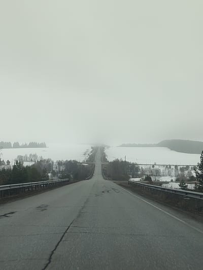 The photograph depicts a paved road stretching into the distance under a gray, overcast sky. The road is flanked by metal guardrails on either side. Beyond the guardrails, a snowy landscape is visible, dotted with bare trees and patches of greenery. A line of trees is on the horizon. The road has cracks and patches, indicating wear. The overall scene is muted in color due to the weather conditions. The location is likely the city of Gol'yany, Russia, based on the location.