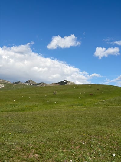 The image shows a mountain scene, likely in Pišče, Montenegro. A grassy hillside occupies the right side of the frame, sloping upwards. The left side is filled with a blue sky interspersed with white clouds. The top of the mountain has a rocky edge with some residual snow near the top. Some rocks and grass on the hillside and in the distance.