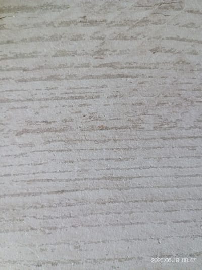 The image is a close-up, overhead shot of a light-colored, wood-grain textured surface. The grain consists of horizontal, irregular lines in a slightly darker shade against a lighter background. There are some minor imperfections and variations in the texture, suggesting it might be laminate flooring or a similar material. The timestamp "2026.06.18 08:47" is visible in the bottom right corner of the image, indicating the date and time the photograph was taken. There are no people, objects, or specific environmental details visible beyond the surface itself. As the image is a close-up of a material and lacks any external context, its specific location in Beringen, Belgium cannot be determined.