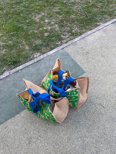 Two reusable grocery bags with blue handles and green and white logos are lying on a paved surface in the city of Saint-Brice-Courcelles, France. The bags are filled with groceries. The bags are located on a paved surface next to a grassy area. The bags are situated on a paved surface that is partially covered in green grass.