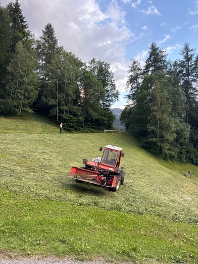 A red tractor is shown in a field of cut grass, with a person standing in the background holding a rake. The scene is set in a grassy field bordered by a dense forest of tall trees. In the distance, a mountain range is partially visible through the trees, suggesting a mountainous or hilly terrain. The sky is partly cloudy with patches of blue. The time of day appears to be late afternoon or early evening, indicated by the soft lighting. The overall impression is of rural agricultural work in a scenic, natural setting. There is no visible text in the image.