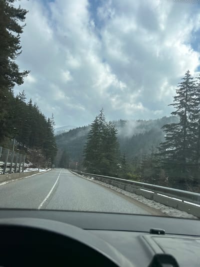 The image depicts a two-lane asphalt road traversing a mountainous, heavily forested area in Dryanovets, Bulgaria, observed from inside a vehicle. The sky above is partially covered by large, diffuse white and grey clouds, with patches of lighter blue visible. The road, which appears damp, features a solid white center line that curves gently to the right as it recedes into the distance.
On the immediate right side of the road, a silver metal guardrail runs parallel to the pavement, with patches of snow and slush visible on the ground directly beside and beneath it. Beyond the guardrail, dense evergreen trees cover the steep hillside. Further into the background on the right, forested mountains rise, partially obscured by a low-hanging mist or cloud cover. A small red and white striped road marker is faintly visible on the right shoulder in the mid-distance.
On the left side of the road, a more substantial barrier system, including a metal guardrail and a section of mesh fencing, separates the roadway from a steep, forested incline. Snow accumulation is present on the ground adjacent to the barrier and scattered among the trees on the hillside. The entire landscape is dominated by a thick coniferous forest, with the distant mountain peaks shrouded in fog.
In the immediate foreground, the top of a vehicle's dashboard and a segment of a steering wheel are visible at the bottom of the frame, indicating the photograph was captured from the driver's or passenger's perspective through the windshield. No individuals are present in the visible scene.