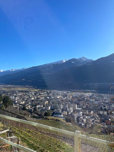 The image, viewed upright, captures a sweeping panoramic vista of a town nestled within a valley, dramatically flanked by towering mountains under a bright, clear blue sky.
The left side of the frame is dominated by a vast, dark mountain range, its rugged peaks and upper ridges dusted with patches of snow. Subtle streaks of sunlight or atmospheric haze are visible on the mountain's face.
Across the middle and right side of the image lies a sprawling town, characterized by a dense concentration of buildings. These multi-story structures, featuring roofs in various shades of grey and brown, stretch extensively across the valley floor, hinting at a lively urban center. Pockets of green vegetation and scattered trees are interspersed among the buildings and along the valley, softening the urban landscape.
In the immediate foreground, a white or light-colored metal railing extends diagonally from the bottom right, suggesting the vantage point of the photographer is from an elevated position. Below this railing, a terraced slope is visible, covered with dry, vine-like structures or trellises, and patches of green grass, possibly indicating a vineyard or agricultural land.
The scene is bathed in brilliant daylight, under a vivid, cloudless blue sky, suggesting it is midday or early afternoon. The weather is sunny and clear. There is no discernible activity taking place, as it is a landscape photograph. No visible text is present in the image. This scene is located in Sondrio, Italy, which aligns with the topographical features of a valley town surrounded by mountains.