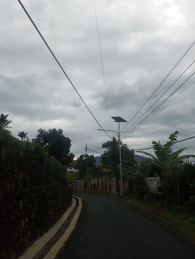 The image captures a narrow asphalt road curving right under an overcast sky in Bhupalpally, India. A concrete gutter parallels a stone retaining wall on the left, which is covered in moss and supports dense vegetation, including a plant with reddish-purple leaves. On the right, lush green foliage, featuring banana plants, partially conceals a rusty corrugated metal fence. A utility pole supporting a solar-powered street light stands on the right side of the road, with multiple overhead power lines crossing the frame. A multi-story building with a light-colored facade is visible through trees in the mid-ground, and distant hills are faintly discernible beneath the cloudy sky. A weathered banner or poster is affixed within the vegetation on the right. One individual is partially visible behind the retaining wall on the left, facing right.