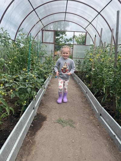 A young girl with blonde pigtails, wearing a gray sweatshirt with a cat and dog graphic, and white pants with a watermelon print, along with purple rubber boots, stands smiling in the center of a greenhouse. The greenhouse has a translucent arched roof supported by a metal frame. Rows of tomato plants with yellow flowers and developing green fruit line the sides of a dirt path on which the girl stands. The path is bordered by raised garden beds with light gray metal edges. The background shows a reflection of trees and sky in a window or opening in the greenhouse structure. The image appears to be taken in a residential outdoor setting.