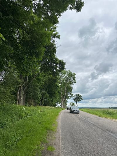 A grey car with a license plate starting with "EB 60 CC" drives on a paved road under a cloudy sky in the village of Khatsynchytski Sel'ski Savet, Belarus. The road curves to the right, bordered by a lush green grassy verge on the left and a field on the right. A line of trees with dense green foliage runs along the left side of the road, with their branches extending over the grass. In the distance, the sky is filled with dramatic grey and white clouds, hinting at impending rain. The overall scene depicts a rural landscape during a cloudy day.