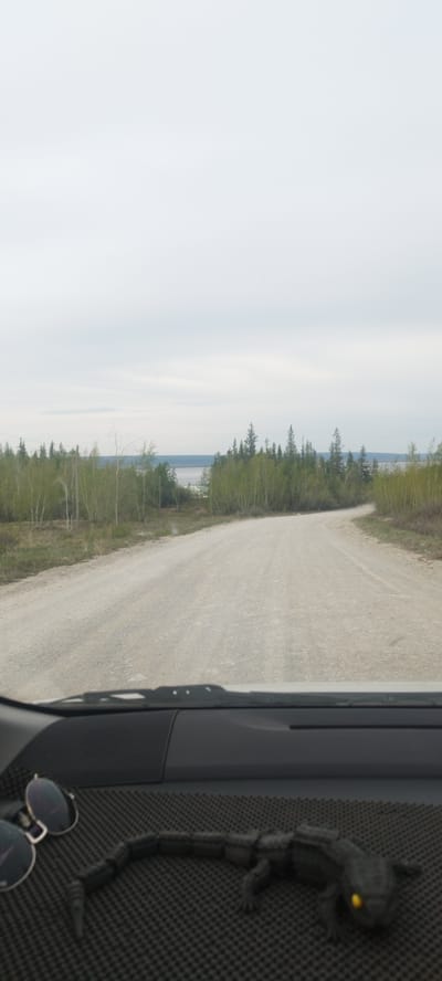The image depicts a view from inside a vehicle on a dirt road in Mokhsogollokh, Russia. The road curves gently to the right, flanked by sparse trees on either side. A body of water is visible in the distance, between the trees, under a cloudy sky. On the dashboard of the vehicle, there are sunglasses and a small, dark-colored lizard figurine with yellow eyes.
