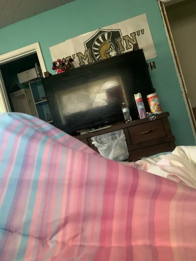 This image depicts an interior residential room, likely a bedroom, viewed from a low angle. The immediate foreground is dominated by a comforter featuring vertical stripes in shades of pink, light blue, and white.

A black flat-screen television, approximately 40-50 inches, is centrally positioned on a dark brown wooden media console. The television screen displays a reflection of horizontal window blinds. On the console's top surface, from left to right, are a small vase with artificial pink and purple flowers, a clear plastic water bottle, a purple and white aerosol spray can labeled "Febreze Unstopables," and a yellow and white container of "Lysol" cleaning wipes. A white plastic shopping bag with "Walmart" visible text is suspended from a drawer handle on the console.

The walls are painted a light teal or mint green. Above the television, a white banner is affixed to the wall, displaying a black and gold shield emblem with a stylized Spartan helmet facing right, flanked by the partial text "M IN." This banner strongly indicates an affiliation with the "Marauders" mascot of Lancaster High School.

To the left, an open doorway with white trim leads into another space, likely a closet or auxiliary room. Inside, a white modular shelving unit with light blue backing holds various items, including a white PlayStation 5 console on an upper shelf and a white storage bin labeled "AB 23" on a lower shelf. To the far right, an unfinished doorway or opening reveals exposed light-colored wood framing. No individuals are visible in the scene.

Based on the "Marauders" banner, the location is identified as within the city of **Lancaster, California, United States of America**.