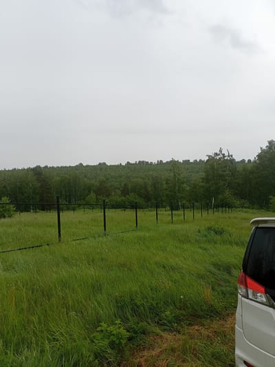 The image captures a rural landscape with a fence line running across a grassy field. In the background, a dense forest covers rolling hills, under a overcast sky. A white vehicle is partially visible on the right side of the frame. The scene appears to be located in Karluk, Russia, given the context provided.