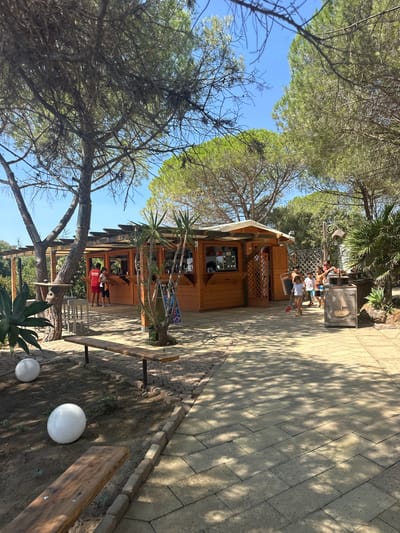 The image depicts an outdoor scene in what appears to be a park or recreational area, possibly in Biddeputzi/Villaputzu, Italy. In the center, there is a wooden kiosk or small building with a covered roof, serving as a bar or refreshment stand. Several people are visible around the kiosk. To the left, two individuals, one wearing a red shirt, stand near the counter. To the right, a group of children and at least one adult are interacting near the kiosk. One child, a young girl with a shovel, is walking towards the foreground. The ground is paved with light-colored rectangular stones, with some areas of dirt and landscaping, including trees and large white spherical decorative objects. Wooden benches are placed in the foreground and mid-ground. The environment is sunny, with dappled sunlight filtering through the trees onto the paved area.