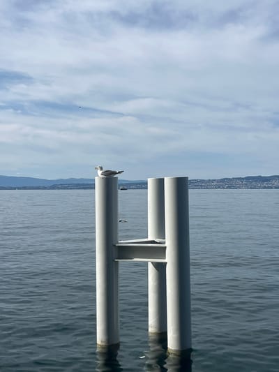 A seagull is perched on top of a white metal pole in the foreground, looking to the left. The pole is part of a structure in the water, which appears to be a dock or pier. The water is calm and reflects the sky. In the background, there is a body of water stretching to the horizon, with mountains and a city skyline on the far side. The sky is partly cloudy. The scene appears to be in Évian-les-Bains, France, as the city skyline in the background is characteristic of that location.