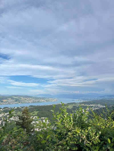 The image captures a panoramic view of Lake Zurich and the surrounding landscape from a vantage point likely in or near Stallikon, Switzerland. The foreground is dominated by lush green foliage, with leafy branches and bushes obscuring the lower portion of the scene. Beyond the foliage, a dense forest covers rolling hills, interspersed with residential areas featuring white buildings. The lake, a large body of blue water, stretches across the mid-ground, reflecting the sky. In the distance, a range of mountains, partially shrouded in haze, forms the backdrop. The sky is a significant element, filled with a mix of blue patches and soft, white, elongated clouds. The overall impression is one of a serene, natural landscape with urban development integrated into the environment. There are no people or animals visible in the frame.