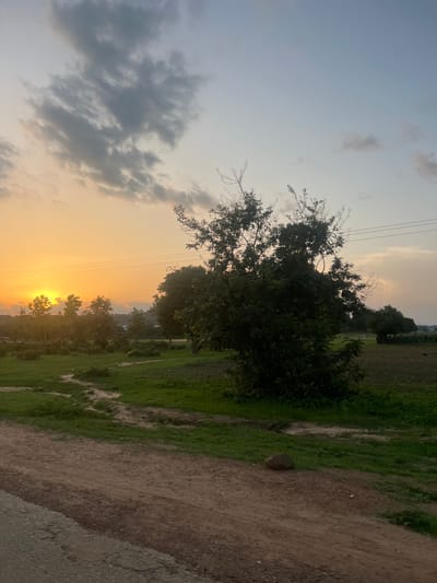 This image depicts a rural or semi-rural landscape at sunset in Rinjim Gani, Nigeria. The sun, a bright orange-yellow sphere, is low on the horizon in the left portion of the frame, partially obscured by trees, casting a warm glow across the sky. The sky transitions from vibrant orange and yellow near the sun to softer pinks, light blues, and pale greys towards the upper and right sections. Ragged, dark grey clouds are visible in the upper left, while lighter, scattered clouds are present elsewhere.
The mid-ground features a prominent, large tree with dense green foliage, positioned slightly right of center. Numerous other trees, appearing as dark silhouettes against the sunset, stretch across the mid-ground, particularly on the left. The ground consists of expansive green grassy areas, interspersed with reddish-brown dirt paths and what appears to be cultivated land with darker vegetation in the mid-right.
In the foreground, a wide, unpaved reddish-brown dirt road or path extends across the bottom of the image, with smaller dirt tracks branching into the grassy verges. A dark, rounded object, consistent with a rock, rests on the dirt path in the lower right. Two power lines are visible horizontally stretched across the upper mid-right sky, passing behind the large tree. No human figures or distinct man-made structures are clearly discernible within the scene. The overall environment suggests a tranquil, natural setting at dusk.