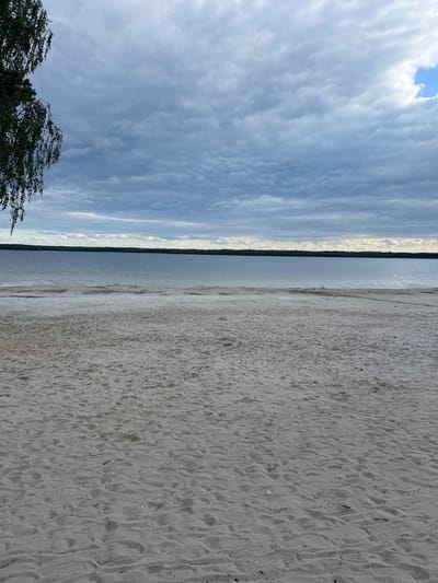 A beach scene is depicted in Ozertsi, Ukraine, under a cloudy sky. The foreground is a sandy beach with numerous footprints visible. In the midground, a calm body of water stretches towards a tree line on the horizon. The sky is filled with a thick layer of gray clouds, with a small patch of blue sky visible in the upper right corner. A tree branch hangs into the frame from the upper left.