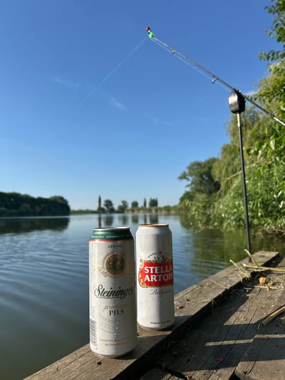 Two beer cans, one Steinninger Premium Pils and one Stella Artois, are placed on a wooden surface next to a lake. A fishing rod is set up in the background. The scene is outdoors on a clear day, with trees lining the opposite bank of the lake. The location is identified as Platnirovskaya, Russia.