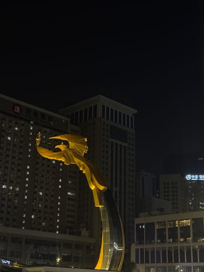 In Shenhe District, China, a striking golden statue of a phoenix stands prominently at night. The phoenix, with outstretched wings and holding a flame in its talons, is illuminated, casting a warm glow against the dark sky. Behind the statue, several tall buildings are visible, their windows lit, indicating an urban environment. One building to the left has signage that reads "大连银行" (Dalian Bank). To the right, another building displays "中宏保险" (Manulife-Sinochem Life Insurance). The scene is captured at night, suggesting an outdoor plaza or public space within the city.