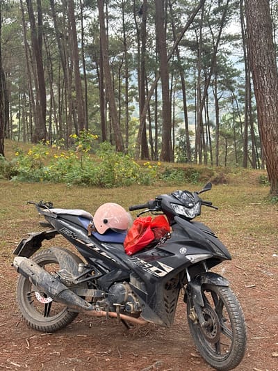 A black Yamaha Exciter 150 motorcycle stands on a dirt surface in a forest. A pink helmet rests on the seat, and a red plastic bag hangs from the handlebars. Tall trees dominate the background, creating a dense forest setting. Some yellow wildflowers peek through the foliage. The bike and its accessories suggest someone has paused their ride to enjoy the woodland scenery.
