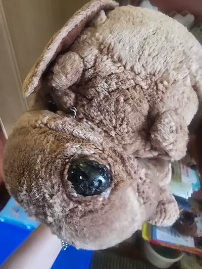 The image is a close-up, high-angle shot of a stuffed animal, likely a dog, with brown fur. The stuffed animal is held in a person's hand, which is visible in the lower left corner of the image. The stuffed animal has large, glossy black eyes and floppy ears. A small silver hoop earring is visible on the stuffed animal's head, near its left ear. The background is blurred and appears to be an indoor setting with various objects, including books or magazines and a white bowl. There is no visible indication of the city of Arshan, Russia, within the image.