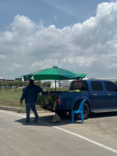 An individual wearing a dark jacket and blue jeans walks away from a blue pickup truck parked on the side of a road. The truck bed contains several bunches of bananas and is covered by a large green umbrella. A blue plastic chair is positioned beside the rear passenger-side tire of the truck. In the background, a row of buildings and trees is visible under a cloudy sky. The scene appears to be on the outskirts of Barranquilla, Colombia, near a commercial area.
