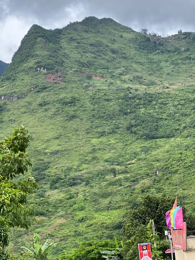 The image depicts a vast, green mountainside under a cloudy sky in Lùng Tám Commune, Vietnam. The mountain is covered in dense vegetation, with visible terraced fields creating horizontal lines across its slopes. A few scattered trees and rocky outcrops break the uniformity of the green. In the foreground, to the left, is the lush foliage of a tree with large leaves. To the right, near the bottom of the frame, a wooden post supports a series of colorful flags—purple, pink, yellow, and blue—fluttering in the breeze. Below the flags, a red and white sign with text and a star symbol is visible, along with a glimpse of a building structure. Further to the left in the foreground, banana plants are also visible. The overall scene conveys a sense of a rural, mountainous landscape with elements of human presence through the flags, sign, and terraced cultivation.