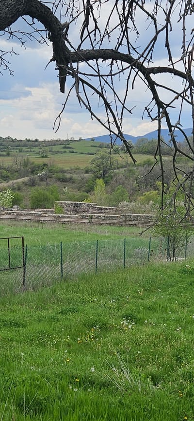 This media file captures a tranquil rural landscape, likely in early spring, in what appears to be Drenkovo, Bulgaria. The scene is dominated by natural elements under a bright, partly cloudy sky.
In the foreground, to the left, a prominent deciduous tree stands with its bare, gnarled branches extending across the upper portion of the frame, silhouetted against the sky. Its bark shows a rough, textured surface.
The midground features a wide expanse of vibrant green grass or meadow. Running horizontally across the scene, roughly in the middle, are what appear to be ancient-looking stone structures or remnants of a dry stone wall, adding a historical dimension to the landscape. Parallel to these stone structures, further to the right, is a modern green wire mesh fence with sturdy posts, segmenting the grassy area. A small gate or opening is visible at the bottom right end of this fence. Beyond the fence, the grass is taller and dotted with small white and yellow wildflowers, possibly dandelions.
The background consists of undulating hills and valleys, covered with various trees and shrubs, some of which exhibit early signs of spring foliage. In the far distance, hazy blue mountains or large hills rise gently against the horizon, completing the panoramic view.
No human activity or individuals are visible, emphasizing the natural serenity of the setting. The time of day appears to be mid-day, characterized by bright, diffused sunlight. The weather is clear and calm, suggesting a pleasant spring day. There is no visible text in the image. The combination of ancient stone elements, rural fencing, and the natural topography provides strong location cues consistent with the provided context.