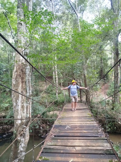A man wearing a yellow hard hat, blue t-shirt, and tan shorts walks across a wooden suspension bridge. He is facing forward with his arms outstretched to the sides, holding onto the bridge's ropes. The bridge is surrounded by lush green trees and vegetation, indicating a forest environment. A small body of water, likely a stream or river, flows beneath the bridge. The scene appears to be in a natural park or jungle setting. This image is not located in Lac Duong, Vietnam.