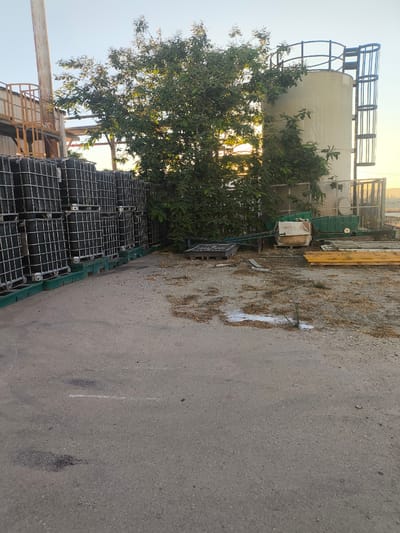 This media file depicts an outdoor industrial or storage area in Dimona, Israel, likely during the late afternoon or early evening given the warm, directional sunlight casting long shadows and the golden hue of the sky. The scene is dominated by large, stacked black plastic tanks with metal cages, possibly IBC totes, arranged in rows on green bases. To the right of the tanks, a tall, light-colored cylindrical silo with a blue railing and a metal ladder attached to its side stands prominent. A lush green tree with dense foliage grows between the tanks and the silo, its branches reaching upwards.
In the foreground, a paved area, likely asphalt, shows signs of wear with some dark stains and faint white markings. Scattered across the ground are various industrial items, including pallets, metal grates, pipes, and some green plastic containers, suggesting a working or storage environment. The overall impression is one of an active, functional outdoor space. No people are visible in the image. The weather appears clear and fair.
