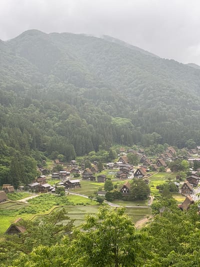 This detailed overhead view captures the historic village of Shirakawa-go, a UNESCO World Heritage site in Shirakawa, Japan, on an overcast day. The scene is dominated by lush, verdant mountains densely covered with trees, receding into a hazy, light grey sky. Nestled in the valley below is the village, characterized by numerous traditional Japanese Gassho-zukuri farmhouses with distinctive steeply pitched, thatched roofs. The houses are dark-toned, likely wood, and are interspersed with vibrant green agricultural fields, many of which appear to be flooded rice paddies. Narrow paths and roads wind through the village and fields. In the mid-ground, a small figure, possibly two individuals under an umbrella, traverses a path between the paddies. The immediate foreground is framed by the tops of dark green leafy trees, partially obscuring the lower part of the village. The overall atmosphere is serene and verdant, reflecting the typical appearance of the region during a cloudy, possibly damp, season.
