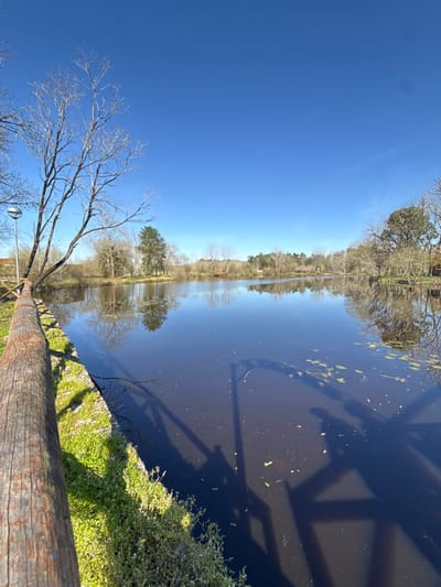The image displays a serene outdoor scene featuring a body of water, trees, and a clear blue sky, likely taken on a sunny day. The perspective appears to be from a slightly elevated position, looking across a waterway.
In the foreground, at the bottom of the frame, there is a substantial, rough-hewn wooden log or beam running horizontally, suggesting it might be part of a fence, bridge railing, or dock edge. To the right of this log, a patch of vibrant green grass and some low-lying shrubs are visible, illuminated by sunlight.
Immediately beyond the foreground elements lies a calm body of water, appearing dark blue or almost black due to reflections and depth. The surface of the water acts as a mirror, clearly reflecting the clear blue sky and the trees from the opposite bank. Several small, green aquatic plants are scattered across the water's surface. Distinct shadows of an unseen overhead structure, possibly a bridge or canopy, are cast prominently onto the water, forming angular patterns.
Stretching across the midground, on the far side of the water, is a visible treeline. These trees, mostly bare-branched, suggest late autumn, winter, or early spring. Their reflections are sharply visible in the calm water below.
The upper portion of the image is dominated by a wide expanse of clear, brilliant blue sky, indicating bright and sunny weather. To the left side of the frame, a large, deciduous tree with numerous bare branches extends into the sky, suggesting the same seasonal conditions as the trees on the far bank. Near the base of this prominent tree, a small, circular, reflective object, possibly a convex mirror or a light fixture, can be seen.
The sunlight appears strong, casting clear shadows and highlighting the textures of the wooden log and the greenery. The overall atmosphere conveyed is one of tranquility and natural beauty. No discernible text is visible in the image.