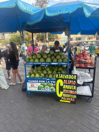 Here is a matter-of-fact description of the image:
The image shows a fruit stand in the city of La Victoria, Peru. The fruit stand has a blue canopy. The fruits displayed on the stand include pomegranates and cherimoyas. The fruit vendor stands behind the stand, partially obscured by the cherimoyas. A sign displays the names of various communities or neighborhoods served by the vendor, including V. Salvador, Alipio, Amauta, Atocongo, Mariategui, and Palomas. A price sign is also visible. Customers are standing and interacting near the fruit stand. The street is paved with rectangular paving stones. There are buildings in the background.