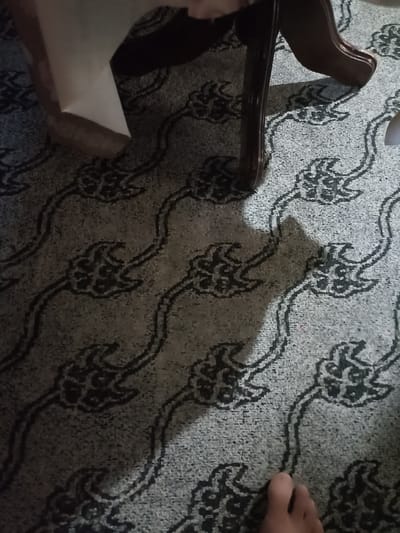 The image depicts a close-up view of a patterned carpet, likely in a domestic setting. The carpet has a grey base with a repeating dark floral or paisley-like design. A wooden table leg, with a dark brown finish, casts a shadow onto the carpet. A corner of a light-colored paper or fabric is also visible, partially covering the table leg. In the lower right portion of the image, a human foot, possibly bare, is visible. The scene does not contain any recognizable landmarks or elements that would indicate a specific location within the city of Aygezard, Armenia.