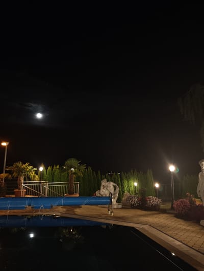 This is a nighttime exterior shot of a pool area, possibly in Schwangau, Germany, illuminated by artificial lights and moonlight. The scene features a swimming pool covered with a blue tarp. Along the edge of the pool, there is a paved walkway and several potted palm trees. In the background, a line of tall, manicured cypress trees forms a dense hedge. Various garden lights are visible, casting a warm glow on the surroundings. Two white classical sculptures, one appearing to be a reclining figure and another a standing male form, are positioned near the pool. Flower beds filled with red and pink blooms add color to the scene. The night sky is dark, with the moon partially visible and some scattered stars. The overall atmosphere is serene and somewhat opulent, suggesting a private or resort-like setting.
