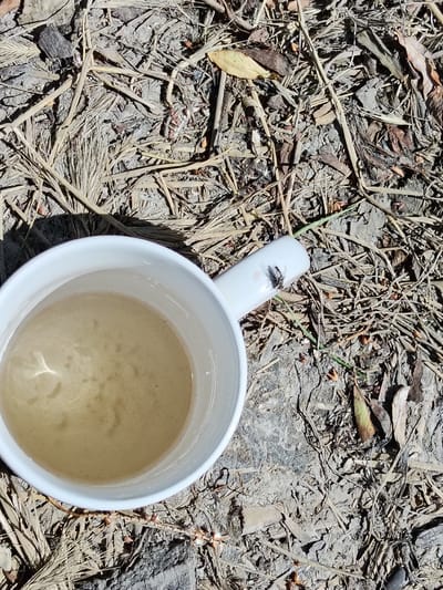 A white mug containing a light-colored liquid sits on dry, dusty ground covered with straw, leaves, and small twigs. A fly is perched on the handle of the mug. The scene is outdoors, under natural sunlight, as evidenced by the shadows cast on the ground. The environment appears to be a dry, natural area, possibly a yard or park, in Bilyaivka, Ukraine.