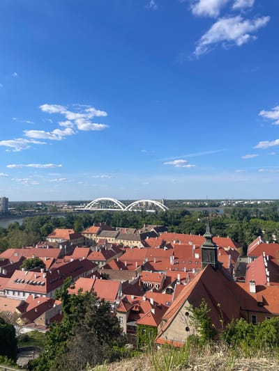 This high-angle panoramic photograph captures a cityscape, likely Petrovaradin, Serbia, under a bright blue sky dotted with scattered white clouds. The perspective is from an elevated position, with lush green trees and dry grasses framing the right foreground, suggesting a view from a hillside or fortress.
The city unfolds across the mid-ground and left, characterized by numerous buildings with distinctive reddish-brown tiled roofs, typical of Central European architecture. A prominent church spire with a dark, possibly green or black, conical roof and golden accents rises above the rooftops in the middle-right section of the city. Many buildings feature light-colored facades.
A wide river, likely the Danube, flows horizontally through the scene, its banks densely lined with green trees. Spanning the river is a modern, elegant white arch bridge, which appears to be a cable-stayed or arch bridge, carrying traffic across to the other side. Beyond the river, the urban landscape extends into the distance, with more buildings and some industrial structures faintly visible.
The clear lighting and distinct shadows indicate a bright, sunny day, likely late morning or early afternoon. No specific human activity or visible text is discernible, offering a tranquil and expansive view of the city and its surrounding natural landscape.