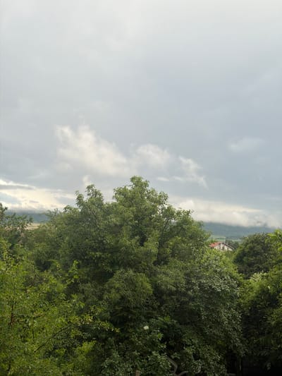 The image depicts a view of Dalgopol, Bulgaria, dominated by lush green foliage in the foreground. Dense trees with full canopies occupy the lower half and center of the frame, obscuring much of the mid-ground. In the distance, a red-roofed building is visible, partially peeking through the trees, suggesting a residential area. Beyond the building, rolling hills are shrouded in a thick layer of low-hanging clouds or mist, adding a dramatic effect to the landscape. The sky above is overcast with a mix of light and dark grey clouds, indicating a cloudy or potentially stormy day. There are no people or animals visible in the frame. The overall scene conveys a natural, somewhat secluded environment within the city.