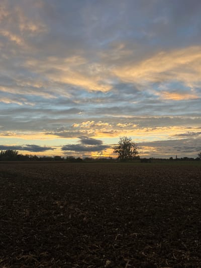 This is a landscape photograph depicting a rural area within the municipality of Hœrdt, France, observed during either sunrise or sunset conditions. The lower third of the frame consists of a dark, tilled agricultural field, characterized by exposed soil clods and irregular surface texture, indicating recent cultivation and an absence of growing crops. A distinct horizon line separates the field from a distant treeline. A prominent, bare deciduous tree stands slightly right of the frame's center, silhouetted against the bright horizon. To the far right, a slender church spire, consistent with that of Église Saint-Pancrace, is visible above the treeline, signifying a distant settlement. The upper two-thirds of the image comprise an expansive sky filled with layered clouds displaying hues ranging from blue-grey to pale orange and yellow, with a concentrated golden-orange light source visible along the horizon. No human or animal subjects, explicit actions, or direct interactions are present within the frame.