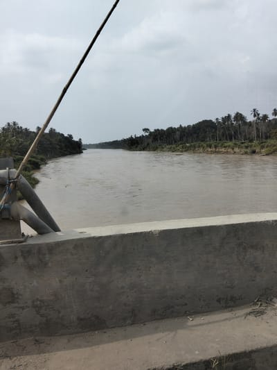 This is a photograph taken from a bridge in Teupinreudeup, Indonesia, overlooking a wide, murky river. The river flows from the distance towards the viewer, with dense vegetation and numerous palm trees lining both banks. The sky is overcast and grey. In the foreground, the concrete railing of the bridge is visible, along with some metal support structures and a long, thin bamboo pole angled across the frame. The water appears calm, with subtle ripples. There are no people or animals visible in the scene. The overall impression is one of a rural, tropical landscape.
