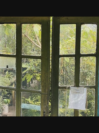 The image shows a rustic, weathered green wooden door with multiple glass panes, set against a backdrop of lush greenery. The door is divided vertically into two sections, each with two panes of glass stacked. The panes are somewhat grimy and reflect the surrounding foliage.
On the left side of the door, in the lower pane, a light-colored pot containing a leafy green plant is visible. In the upper pane, branches and leaves of various trees and plants can be seen.
The right side of the door features two panes of glass. In the upper pane, more dense green foliage is visible. In the lower pane, a white document, encased in clear plastic, is taped to the glass. The document appears to have printed text. A simple metal door handle is also visible on the right section of the door. The overall impression is of a greenhouse or a sunroom, or a door leading into a verdant garden.
The image does not provide any specific visual cues that would allow for its location to be determined within the city of Saint-Août, France.