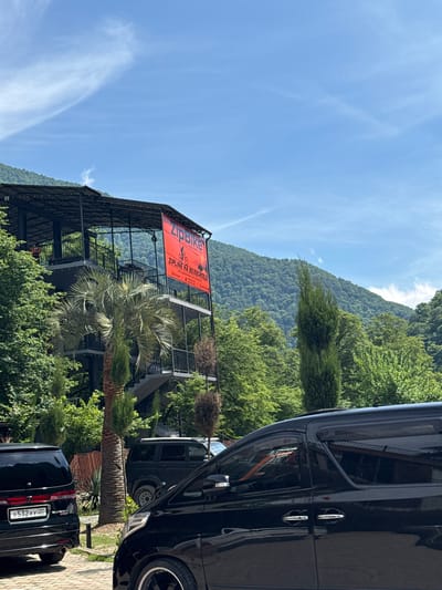 The image depicts an outdoor scene in Bzypta, Abkhazia, under a clear blue sky with sparse white clouds. A multi-level, open-air structure, likely commercial, stands centrally, constructed with a dark metal frame and glass panels, featuring exterior staircases and balconies. A large red banner on the structure displays "ZipBike - Абхазия" and "ZIPLINE НА ВЕЛОСИПЕДЕ" (Zipline on a bicycle) along with a graphic of a cyclist on a zipline.

Lush green foliage surrounds the structure, including dense trees covering mountains in the background. A prominent palm tree is positioned in front of the structure, with several slender coniferous trees also visible.

Three black vehicles are present in the foreground and mid-ground. On the far left, a black minivan or large SUV is parked, displaying an Abkhazian license plate "A 532 YY" with "ABM." Partially cropped on the right, another black minivan or large SUV with custom wheels is parked, showing its side profile. A third black SUV, possibly a UAZ Patriot, is visible in the mid-ground behind the palm tree and the left-most minivan. The ground in the parking area is paved. No individuals are visible.