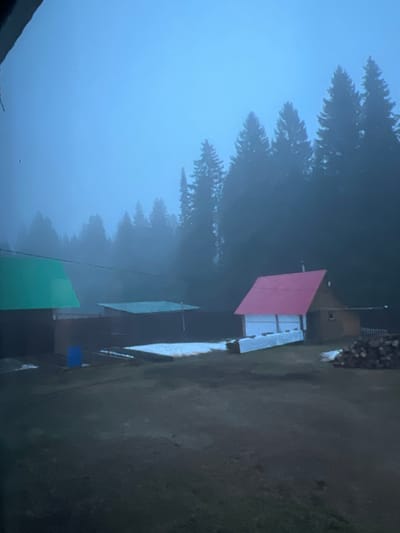 The image depicts a foggy landscape in Bol'shakino, Russia. Evergreen trees are partially obscured by the heavy fog. Several structures with brightly colored roofs (red, silver, green) are visible amidst the dense foliage. The ground appears to be covered with grass and dirt. A pile of firewood is visible in the upper right corner.