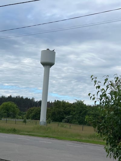 A tall, white water tower stands in the foreground against a cloudy sky. Two birds are perched on top of the water tower. The tower is surrounded by a grassy field with a few sparse trees. In the background, there is a dense forest. A road runs along the bottom of the image. The location is the city of Verkholy, Ukraine.