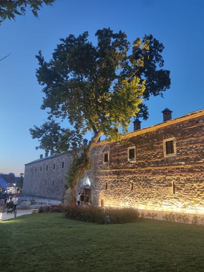 The image shows a stone building with a tree in front of it. The building is lit by warm lights, highlighting the texture of the stone and the bricks. There are several windows and chimneys on the roof of the building. The tree has large leaves and is illuminated by some of the lights.

In the foreground, there is a well-maintained lawn with some bushes. To the left of the building, there are a few people walking and a person pushing a stroller. The sky is a deep blue, indicating that it is either early morning or late evening. There are some lights visible in the distance, suggesting an urban setting. The overall atmosphere is calm and serene, with the warm lighting creating a welcoming ambiance. The location is identified as Osmangazi, Turkey.
